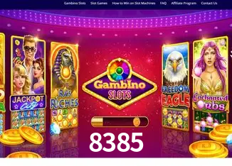 8385 Rio de Janeiro - Bonus Terms